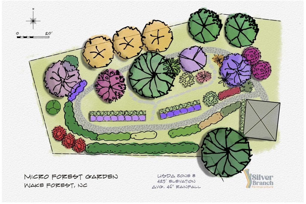 Small forest garden design