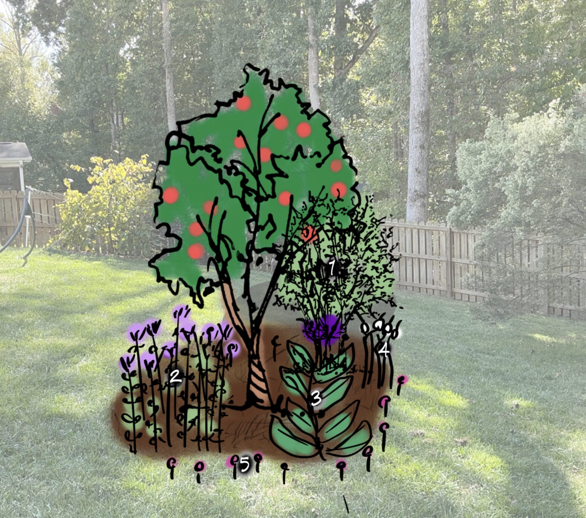 a small tree guild illustration